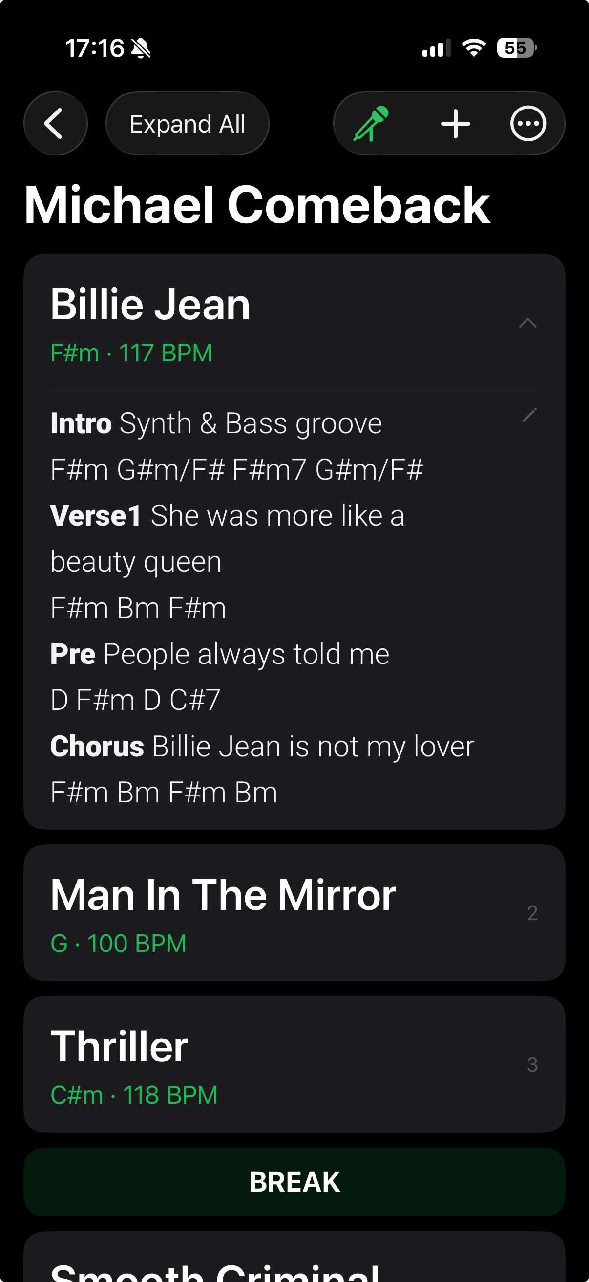 SetNotes app showing the Michael Comeback Tour setlist